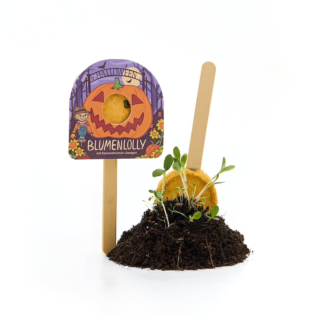 Halloween - Bloemlolly - Zonnebloem