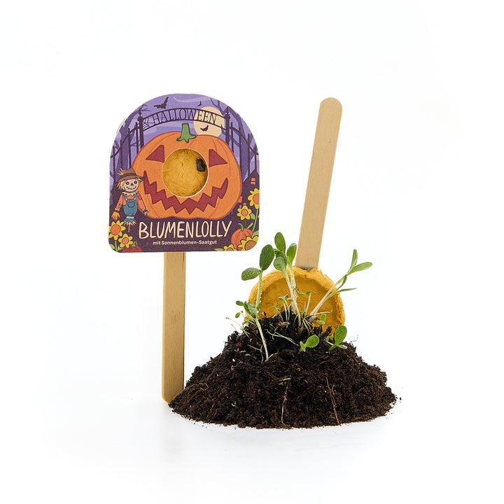Halloween - Bloemlolly - Zonnebloem