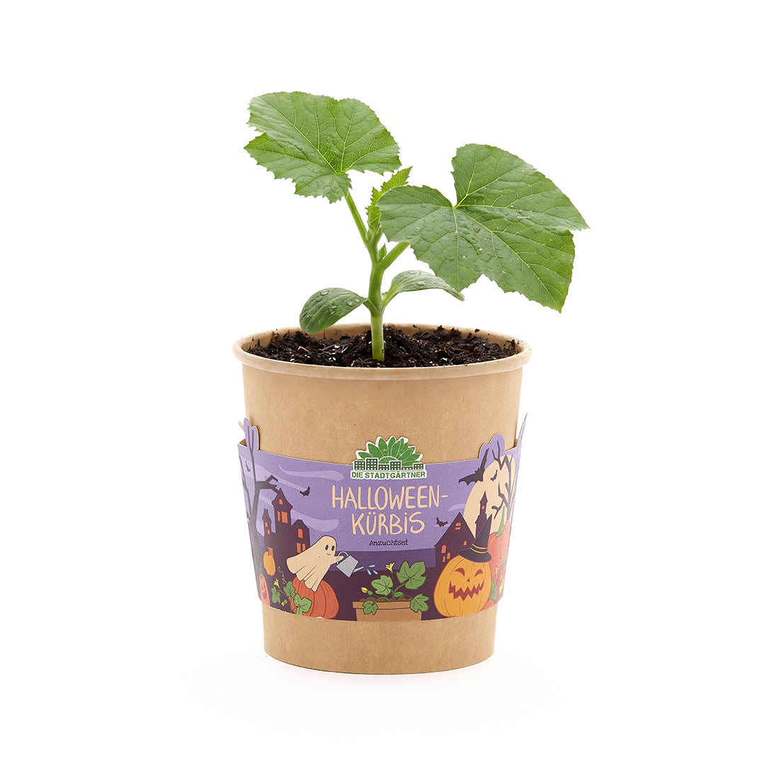 Halloween pompoen - Beker