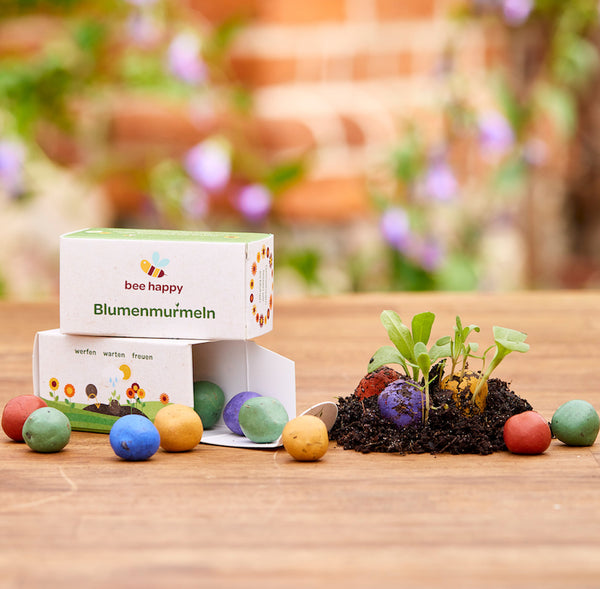 12 bloemenknikkers in een vouwdoosje