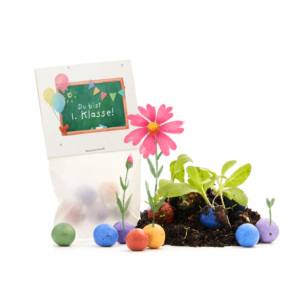 5 bloemenknikkers in een zakje voor de eerste schooldag "Je zit in groep 1"
