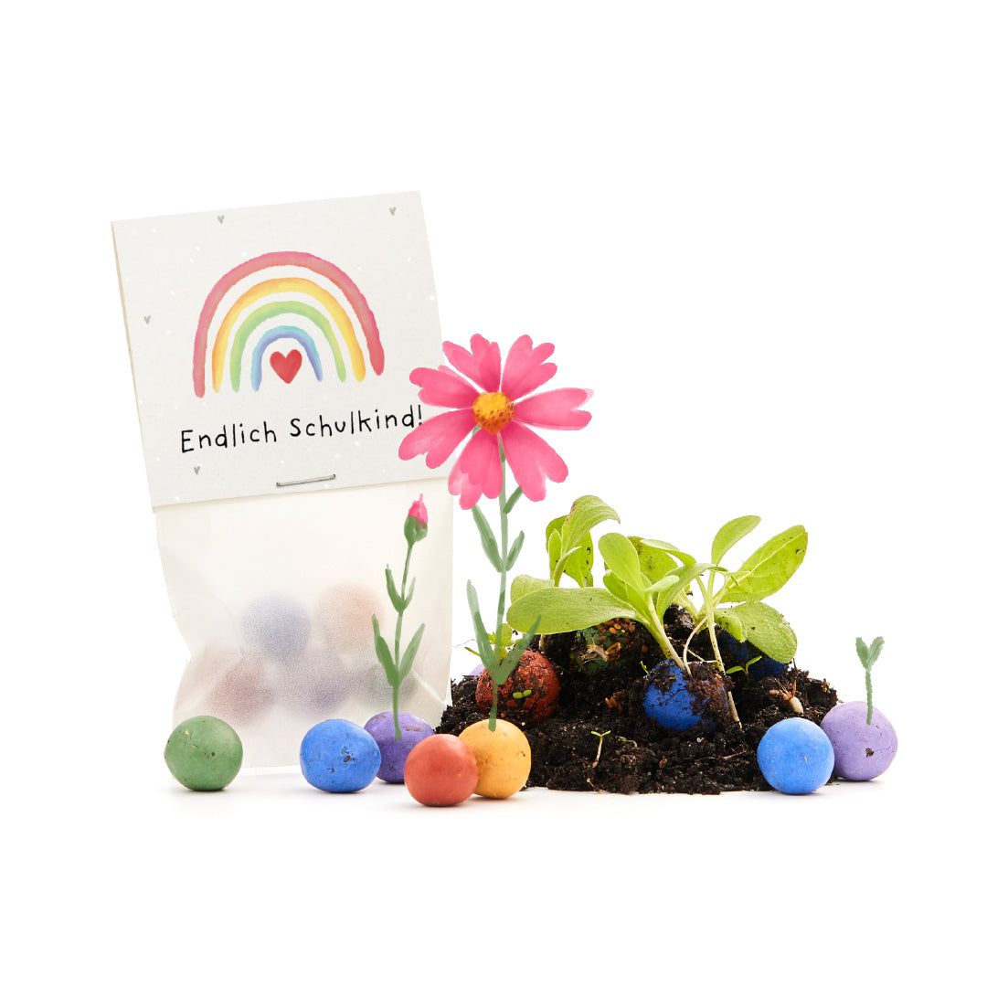 5 bloemenknikkers in een zakje voor de eerste schooldag "Eindelijk schoolkind"