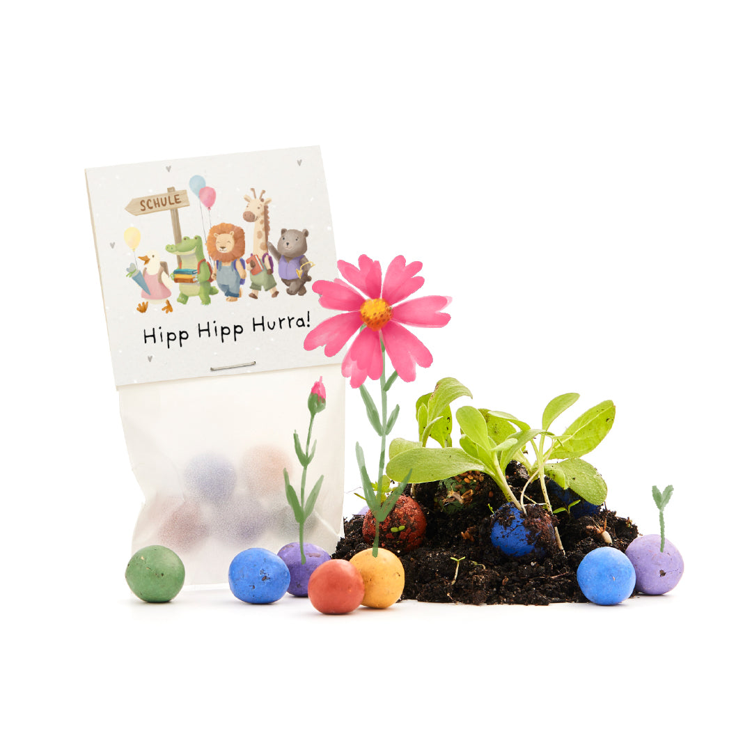 5 bloemzaadjes in een zakje voor de eerste schooldag "Hipp Hipp Hurra!"