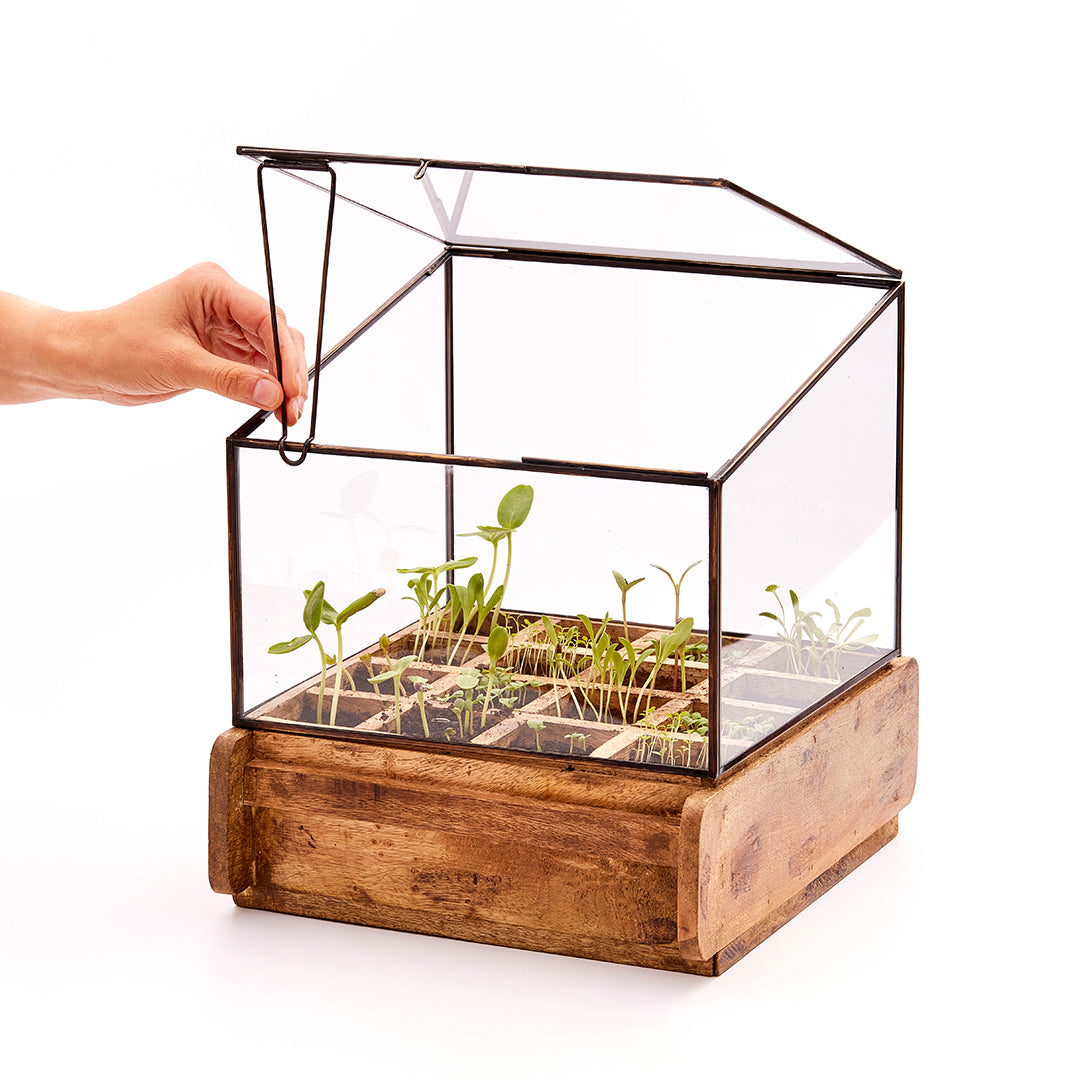 Binnen propagator | Kas | Binnenkas