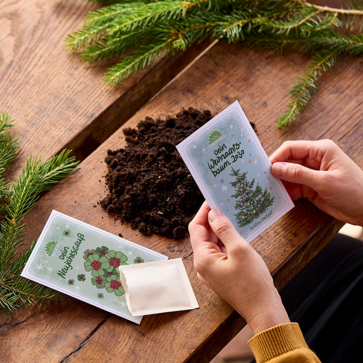 Zwei Hände halten ein Tütchen mit der Aufschrift „Dein Weihnachtsbaum 2030“ über einem Holztisch mit Erde und Tannenzweigen; daneben liegt ein weiteres Saatgut-Tütchen.