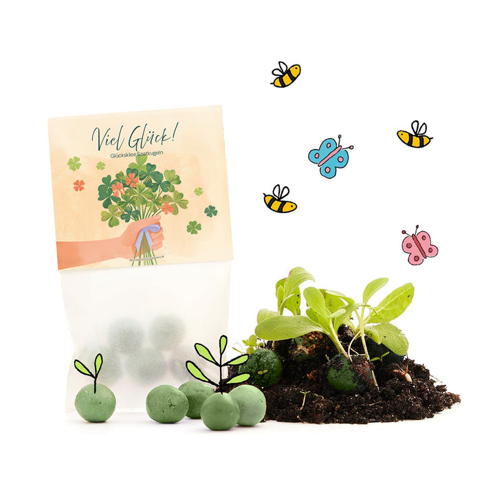 Eine Packung mit Glücksklee-Saatkugeln, daneben grüne Keimlinge in Erde, umgeben von gezeichneten Bienen und Schmetterlingen.