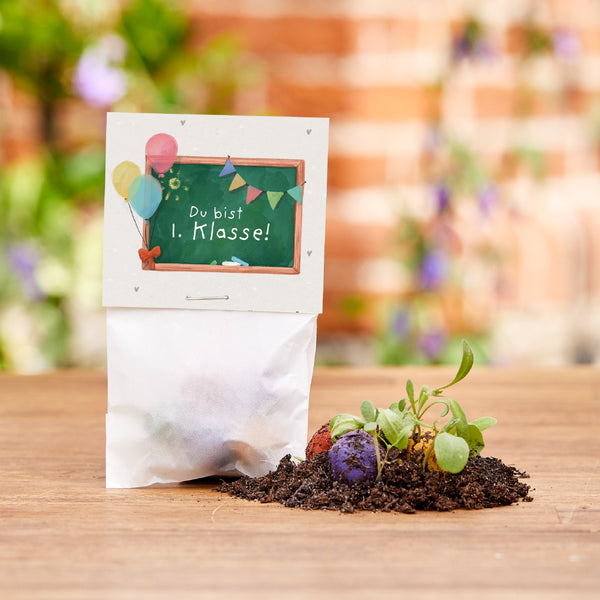 5 bloemenknikkers in een zakje voor de eerste schooldag "Je zit in groep 1"