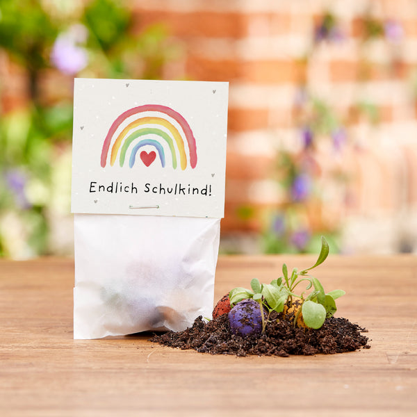 5 bloemenknikkers in een zakje voor de eerste schooldag "Eindelijk schoolkind"