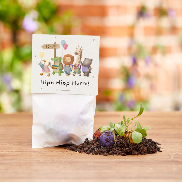 5 bloemzaadjes in een zakje voor de eerste schooldag "Hipp Hipp Hurra!"