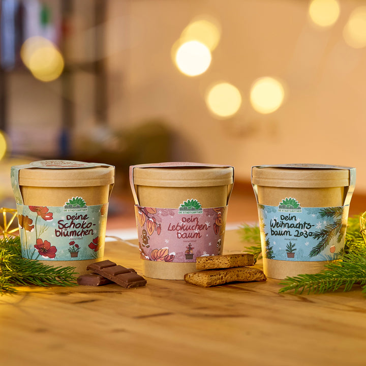 Drei dekorative Pflanztöpfe mit den Aufschriften „Dein Schokoblümchen“, „Dein Lebkuchenbaum“ und „Dein Weihnachtsbaum 2023“ stehen auf einem Holztisch, umgeben von Tannenzweigen, Schokoladenstücken und Lebkuchen, im Hintergrund warme, unscharfe Lichter.