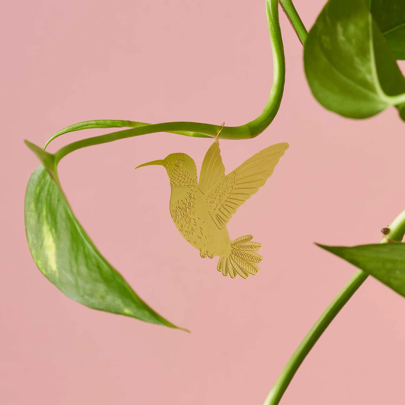 Plantdier Kolibri