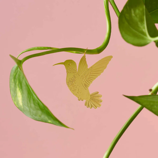 Plantdier Kolibri
