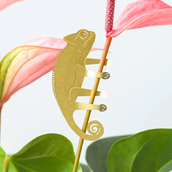 Plantenetend kameleon