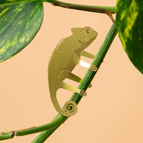 Plantenetend kameleon