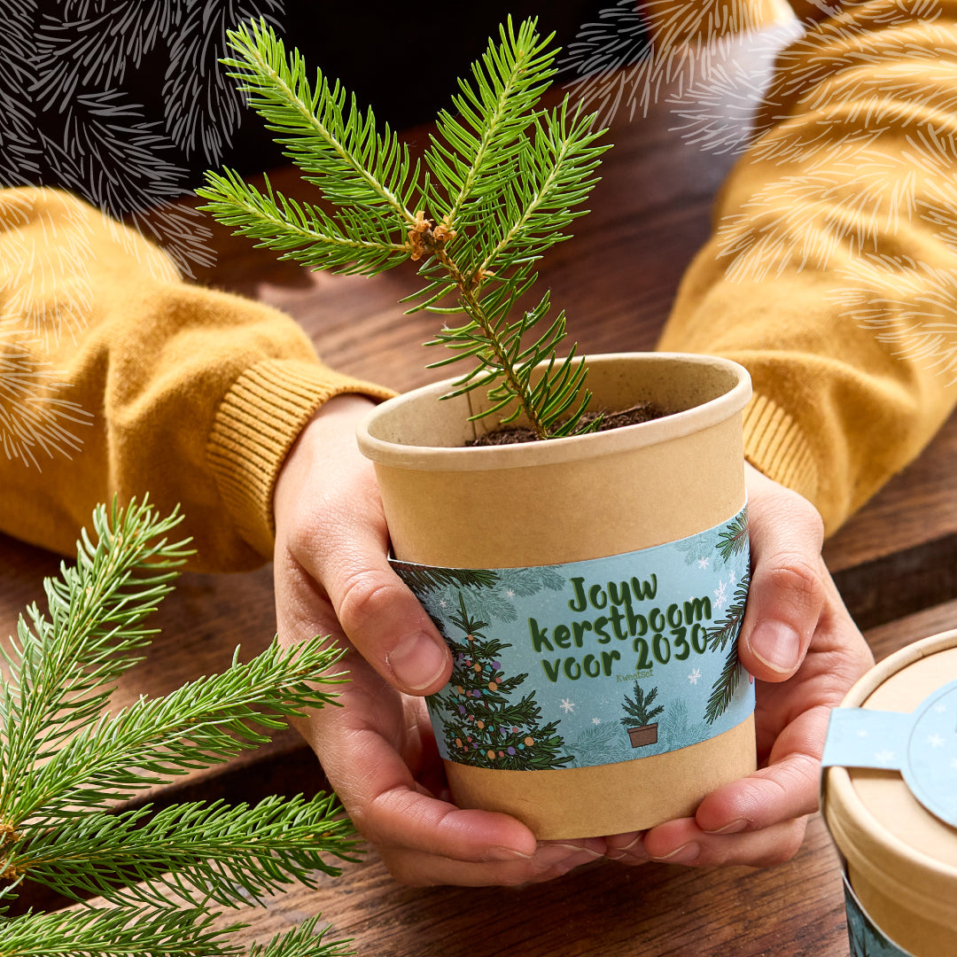 Cadeau "Jouw kerstboom 2030"