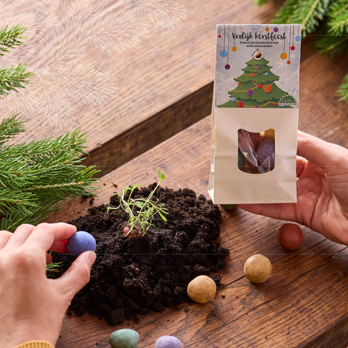 Winterbloemen "Vrolijk kerstfeest" – Kleurrijke bloemknikkers