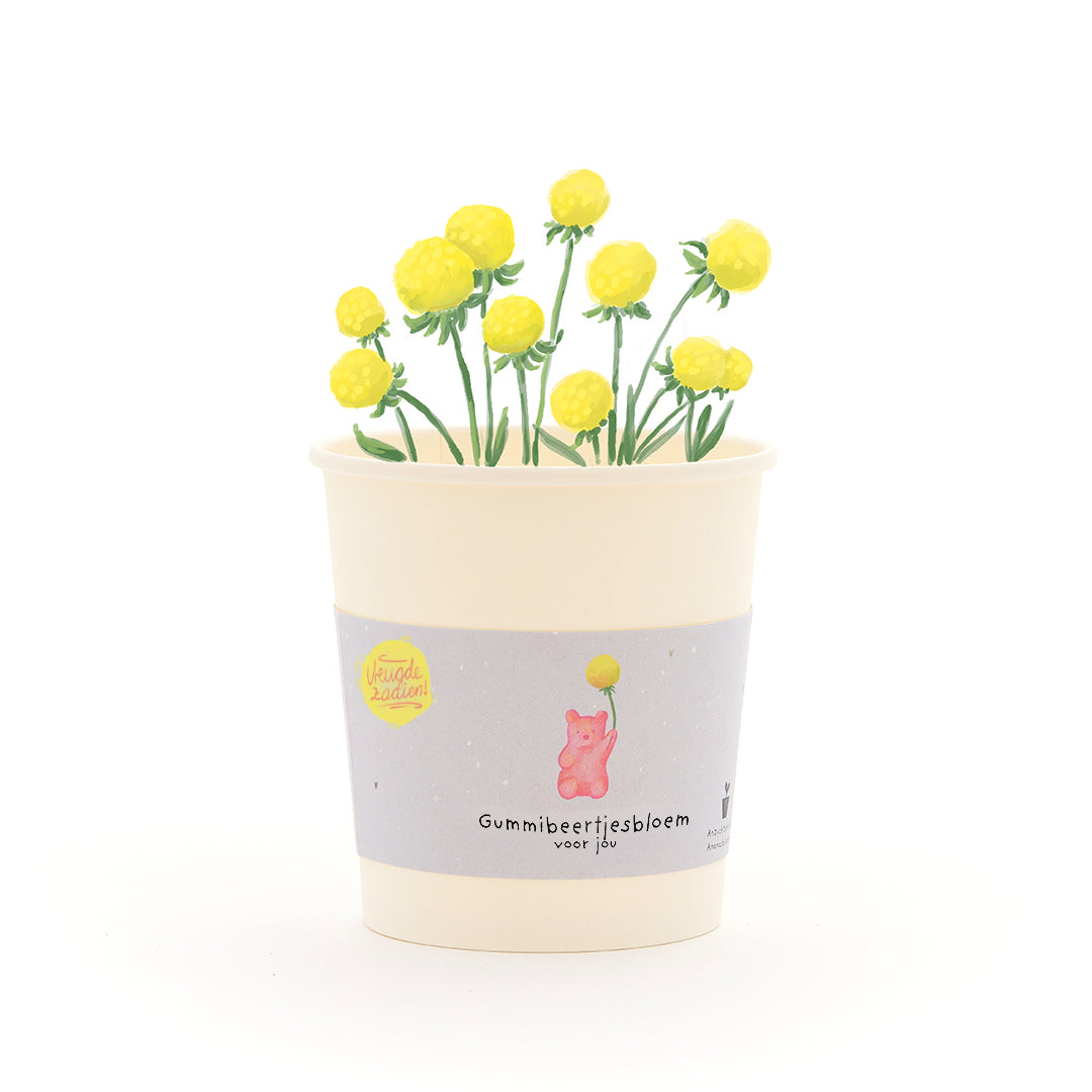 Gummibeertjesbloem - beker
