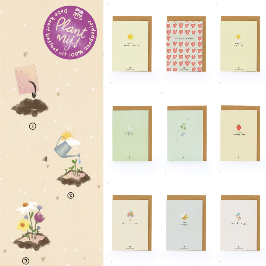9x Bloeiende Wenskaarten Set – Duurzaam Zaadpapier – Voor Elke Gelegenheid