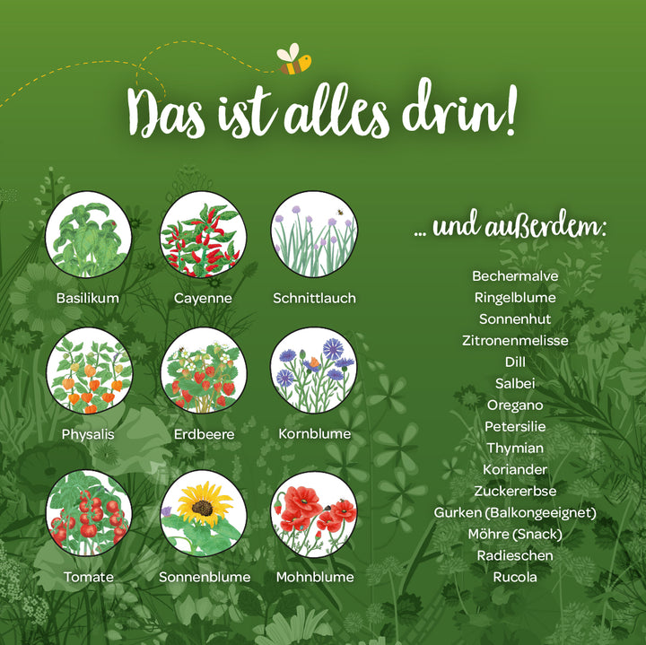 Viele verschiedene Saatgutsorten sind im Kalender