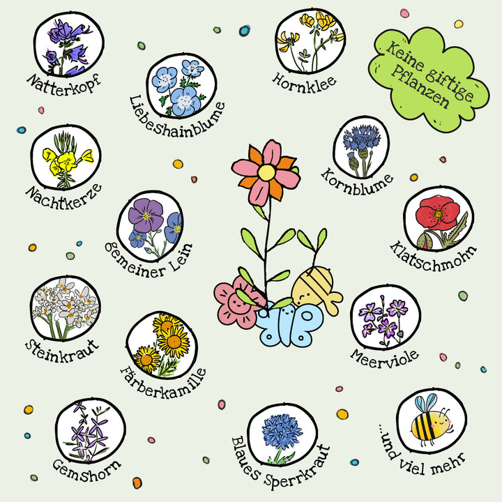 Bunte, gezeichnete Übersicht mit verschiedenen ungiftigen Blumenarten wie Natterkopf, Kornblume, Klatschmohn, Leinsame und weitere, umgeben von fröhlichen Insekten. Text: „Keine giftige Pflanzen“.