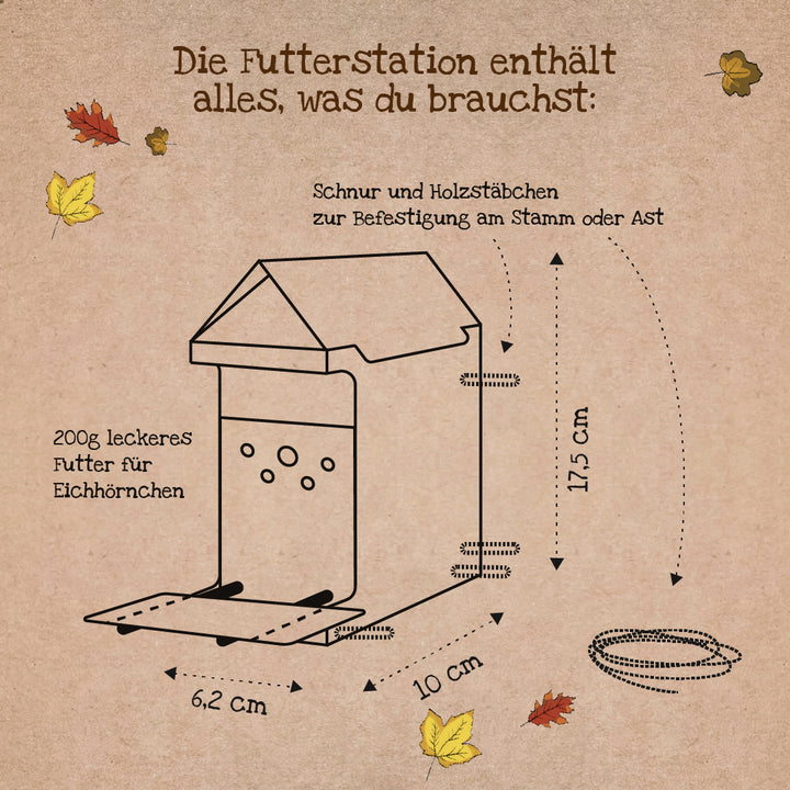 Skizzierte Eichhörnchen-Futterstation mit Maßen und Zubehör auf braunem Hintergrund, umgeben von Herbstblättern und Beschriftungen auf Deutsch.