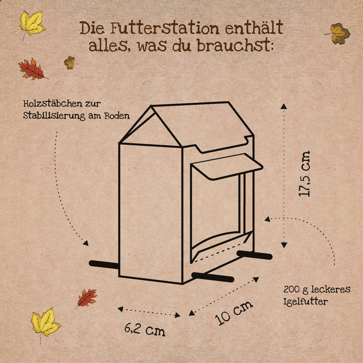 Strichzeichnung einer Futterstation mit Maßen (17,5 cm hoch, 10 cm tief, 6,2 cm breit), Holzstäbchen zur Stabilisierung und Hinweis auf 200 g Igelfutter, umgeben von Herbstblättern.