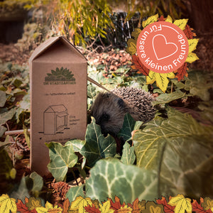 Ein Igel sitzt im Laub neben einer Futterstation aus Karton im Garten; darüber ein herbstliches Emblem mit der Aufschrift „Für unsere kleinen Freunde“.