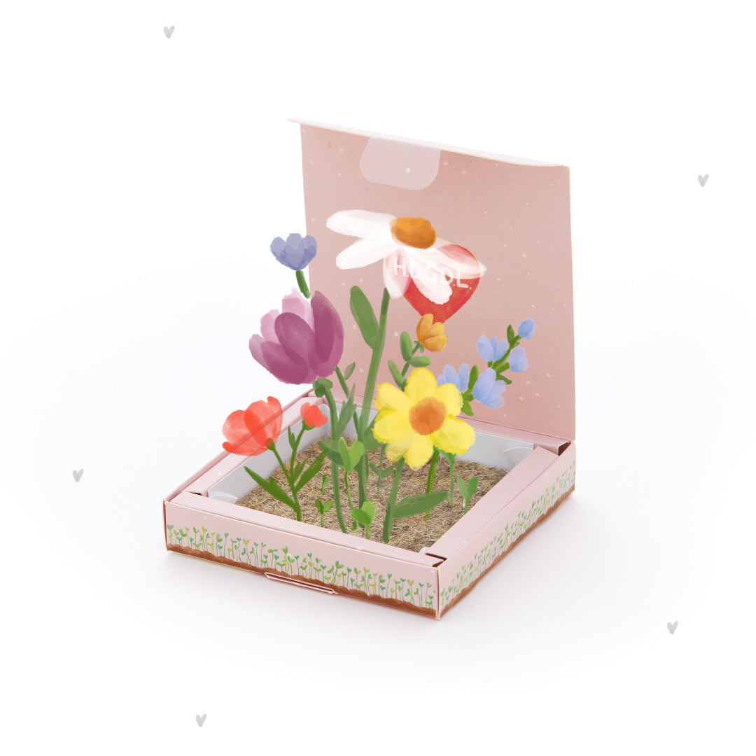 Plantbakjes - HDGDL - Ik hou heel veel van je