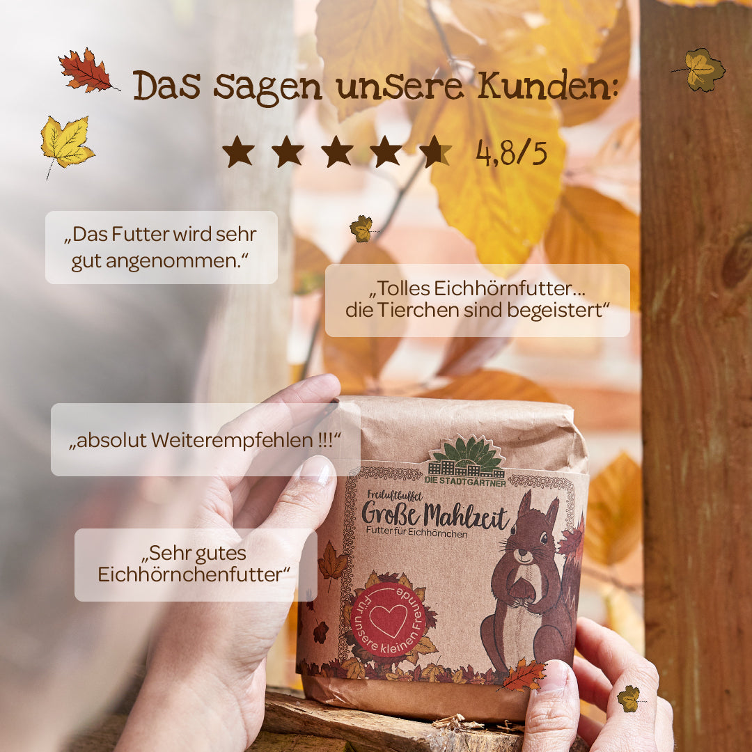 Person hält eine Packung "Große Mahlzeit" Eichhörnchenfutter vor herbstlichen Blättern, umgeben von Kundenbewertungen und einer Bewertung von 4,8 von 5 Sternen.
