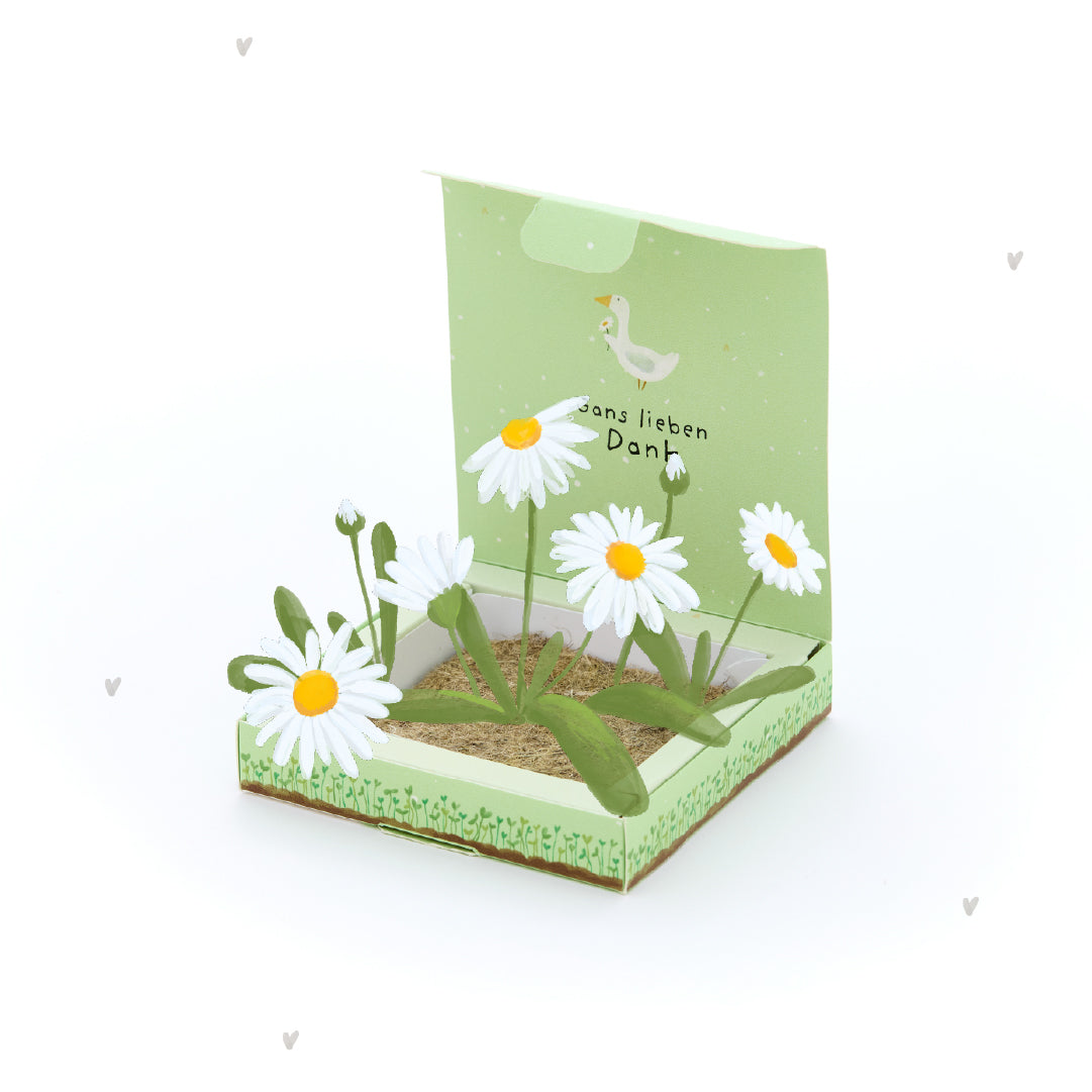 Plantbakjes - Hartelijk dank, Gans
