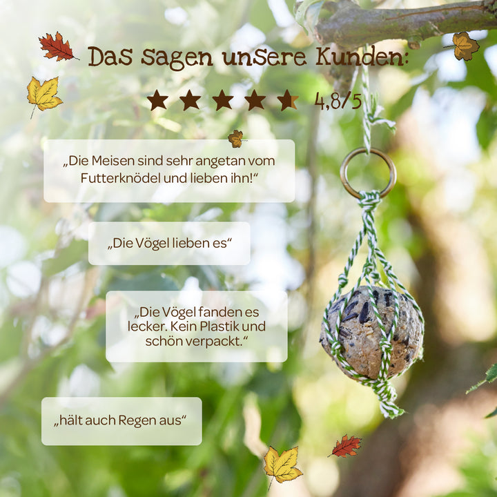 Bewertungen für einen vogelgerechten Futterknödel, der in einem Baum hängt; Kunden loben Geschmack, Verpackung ohne Plastik und Wetterbeständigkeit; Sternbewertung 4,8 von 5.