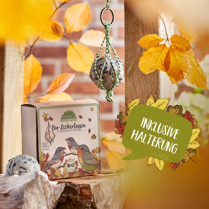Verpackung mit Bio-Futterknödeln für Wildvögel, aufgehängter Futterknödel und herbstliche Blätter im Hintergrund, Schriftzug "Inklusive Halterung".
