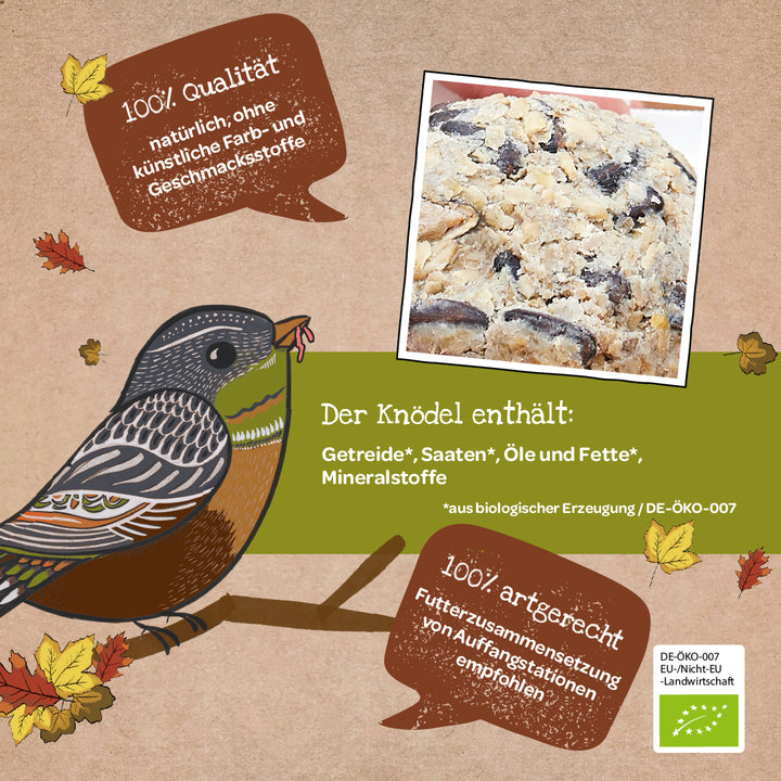 Illustration eines Vogels auf einem Ast mit einem Bio-Vogelfutter-Knödel, umgeben von herbstlichen Blättern und Textfeldern mit Informationen zu den Zutaten und Qualität des Knödels.