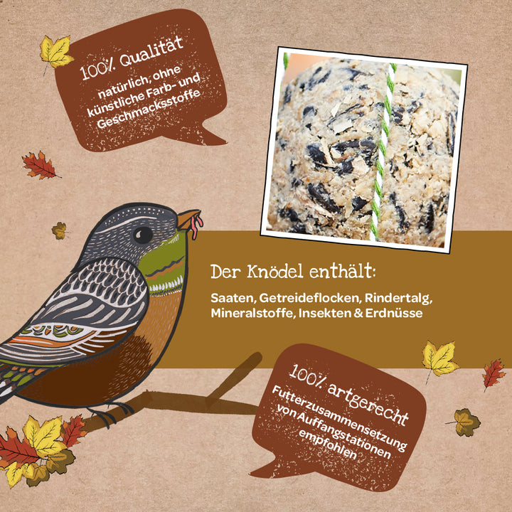 Illustration eines Vogels auf einem Ast mit Text über die Qualität und Zusammensetzung eines Meisenknödels sowie Nahaufnahme des Knödels; Herbstblätter als Dekoration.