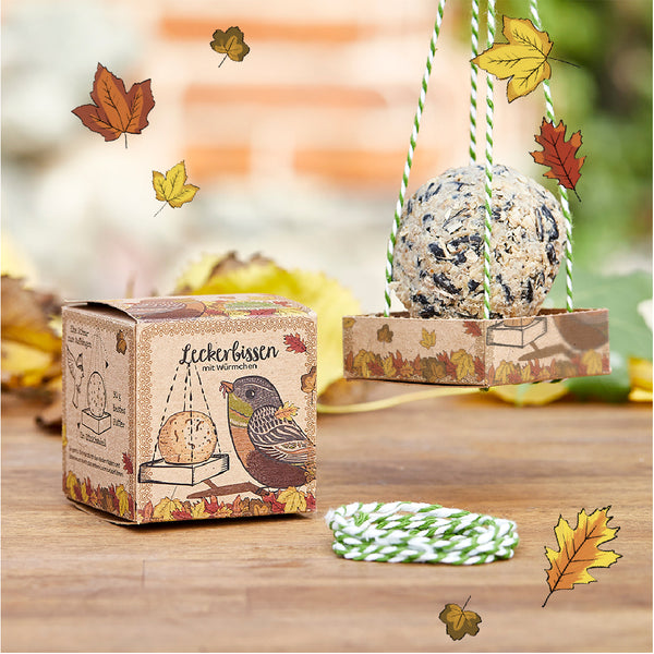 Futterkugel für Vögel in dekorativer Verpackung mit herbstlichen Blättern, daneben eine Kordel, fotografiert auf einem Holztisch im Freien.