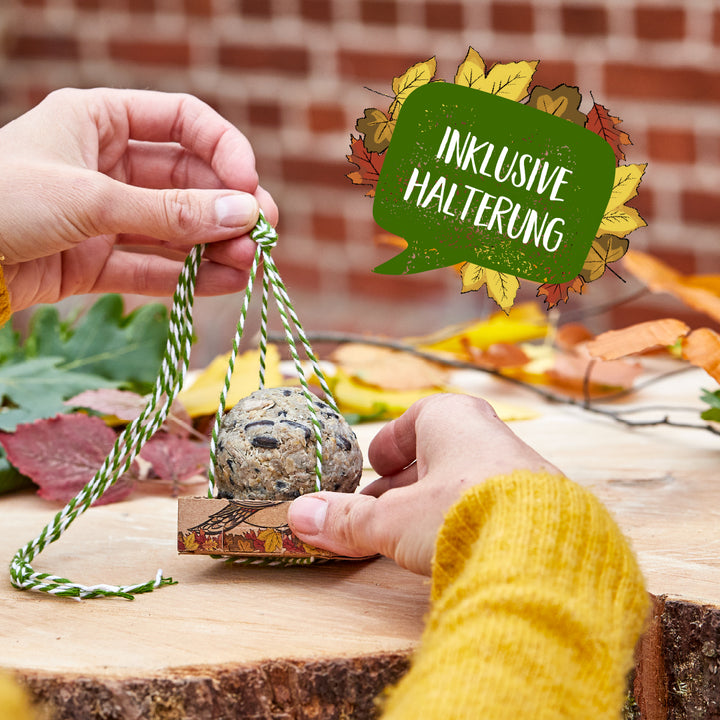 Hände halten eine Vogelfutterkugel mit grüner Schnur, im Hintergrund herbstliche Blätter; Text: "Inklusive Halterung".