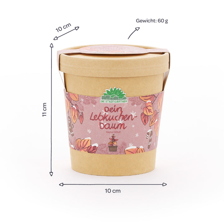 Brauner Pflanztopf mit dekorativem Etikett "Dein Lebkuchenbaum", daneben Maßangaben von 10 cm Durchmesser, 11 cm Höhe und 60 g Gewicht.