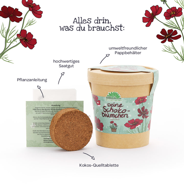 Set mit einem umweltfreundlichen Pappbehälter, einer Kokos-Quelltablette, hochwertigem Saatgut und einer Pflanzanleitung für Schokoblümchen, dekoriert mit Blumenmotiven.