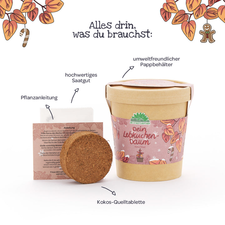 Anzuchtset „Dein Lebkuchenbaum“ bestehend aus umweltfreundlichem Pappbehälter, Kokos-Quelltablette, hochwertigem Saatgut und Pflanzanleitung, illustriert und beschriftet auf Deutsch.