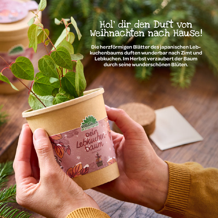 Hände halten einen kleinen Blumentopf mit einem jungen Lebkuchenbaum, umgeben von Tannenzweigen, auf dem Topf steht „Dein Lebkuchenbaum“.