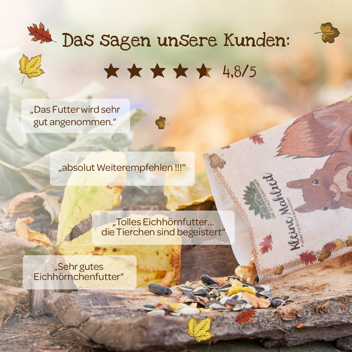 Kundenbewertungen für Eichhörnchenfutter mit 4,8 von 5 Sternen, Verpackung mit Eichhörnchen-Illustration, Futter aus Sonnenblumenkernen und Blättern auf einem Baumstamm.