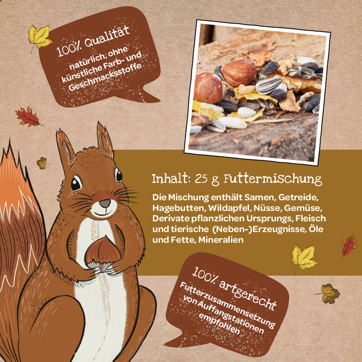 Illustration eines Eichhörnchens mit einer Nuss, daneben eine Nahaufnahme von Nüssen und Samen sowie Text über die Qualität und Zusammensetzung einer Futtermischung in deutscher Sprache.