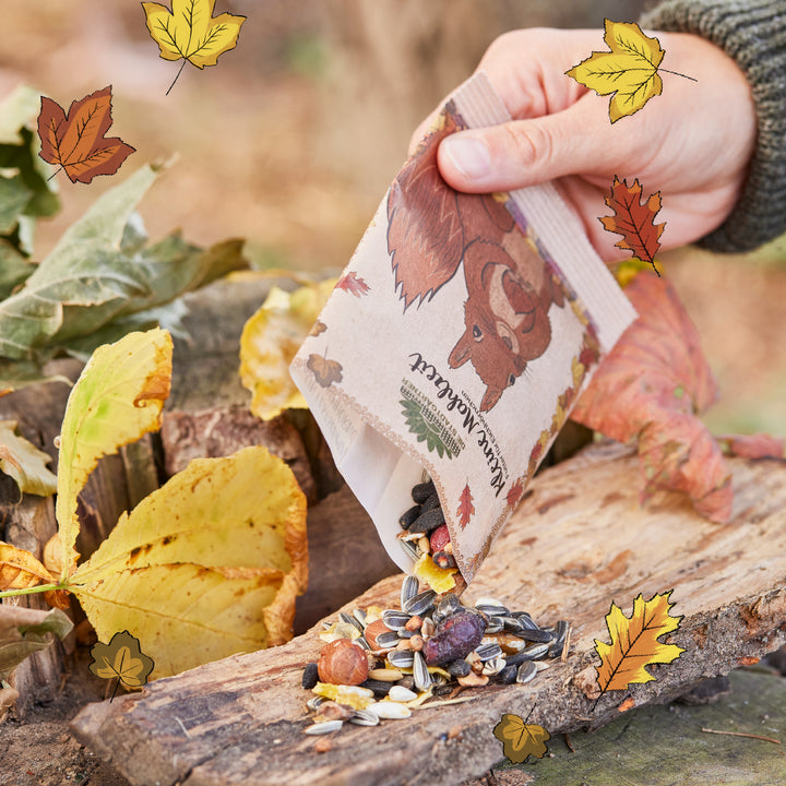 Eine Hand schüttet eine Tüte mit Nüssen und Kernen auf einen Baumstamm im herbstlichen Wald, umgeben von bunten Laubblättern.