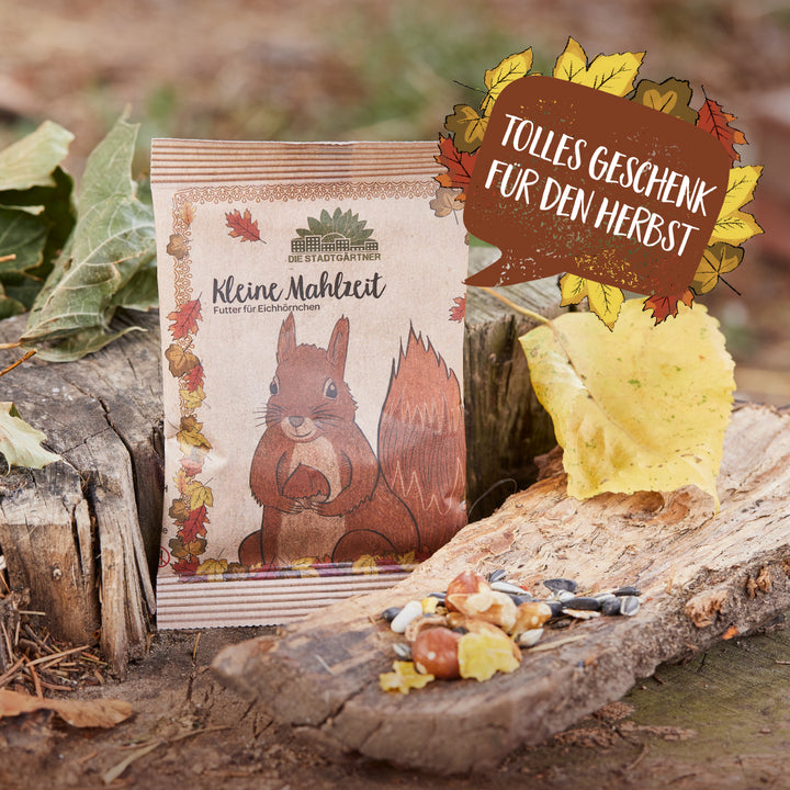 Paket mit Eichhörnchenfutter auf einem Baumstamm, umgeben von Herbstblättern, mit dem Text „Tolles Geschenk für den Herbst“.