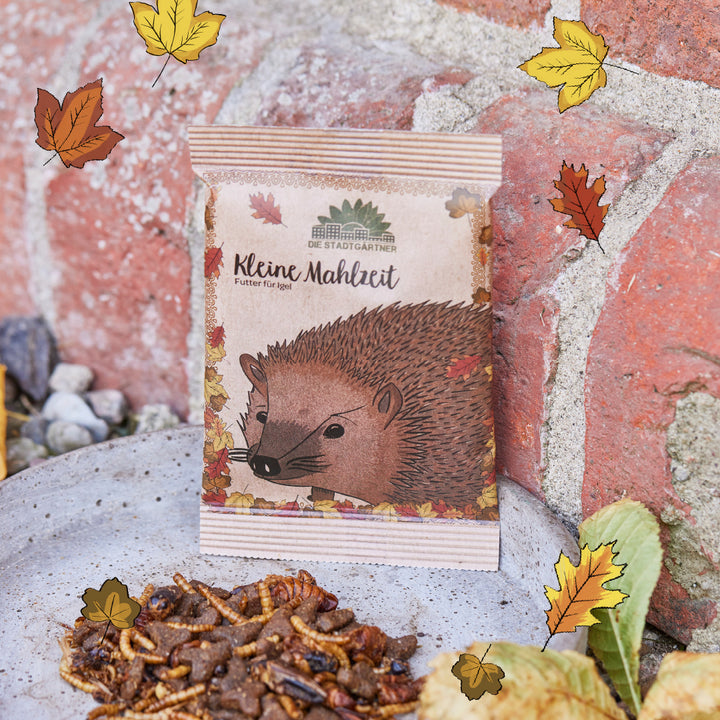 Eine Verpackung mit Igel-Futter der Marke "Die Stadtgärtner" steht neben einer Futterschale auf Steinuntergrund, umgeben von herbstlichen Blättern.
