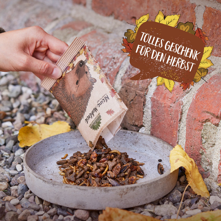 Hand füllt Igelfutter aus einer Tüte in eine Schale neben einer Backsteinmauer, herbstliche Blätter im Hintergrund.