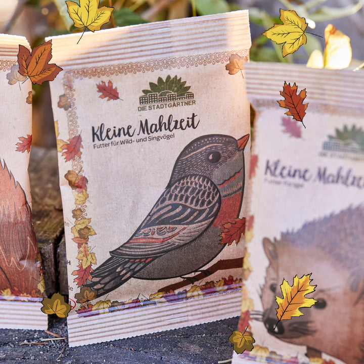 Papiertüte mit Aufdruck eines Vogels und der Aufschrift "Kleine Mahlzeit – Futter für Wild- und Singvögel" von Die Stadtgärtner, umgeben von herbstlichen Blättern.