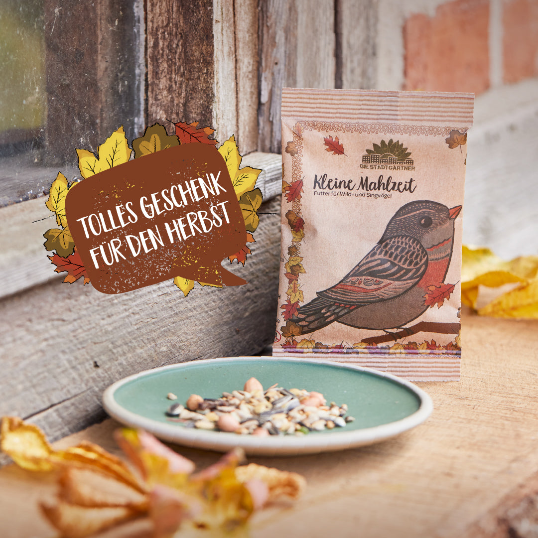 Vogelfutter-Paket mit Herbstmotiv und der Aufschrift "Tolles Geschenk für den Herbst" neben einem Teller mit Vogelfutter auf einem Holztisch.