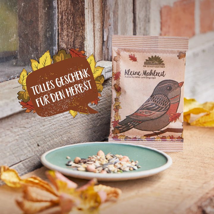 Vogelfutter-Paket mit Herbstmotiv und der Aufschrift "Tolles Geschenk für den Herbst" neben einem Teller mit Vogelfutter auf einem Holztisch.