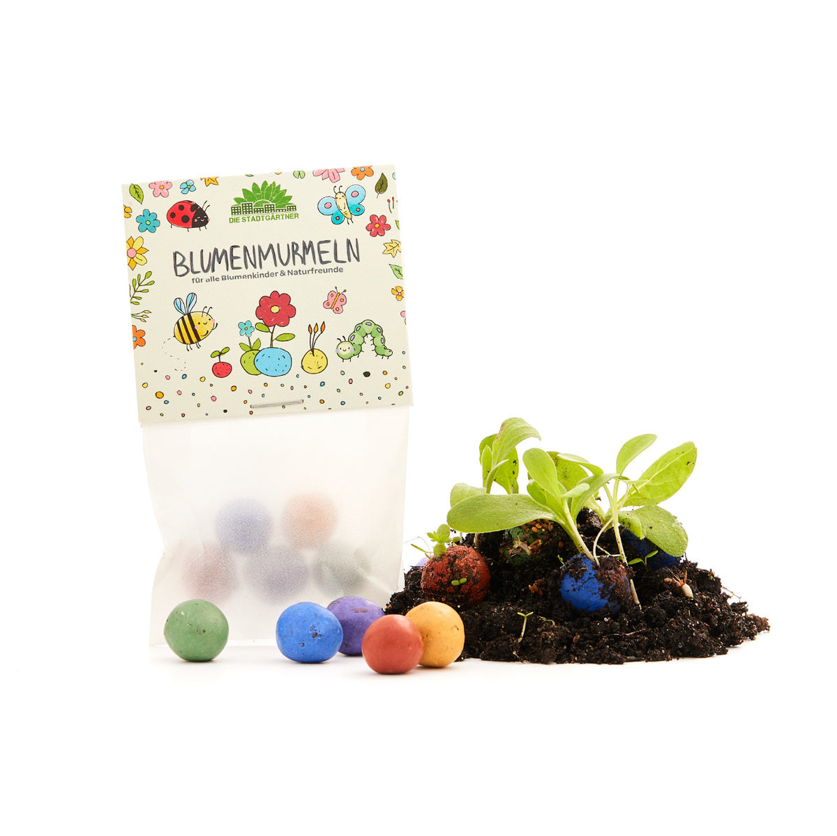 Bunte Blumensamenkugeln neben einer Keimpflanze und einer Verpackung mit der Aufschrift "BLUMENMURMELN" auf weißem Hintergrund.